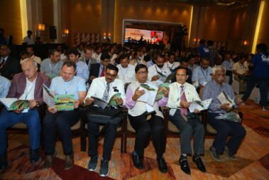 68562383 392435884745768 4804800959374950400 o