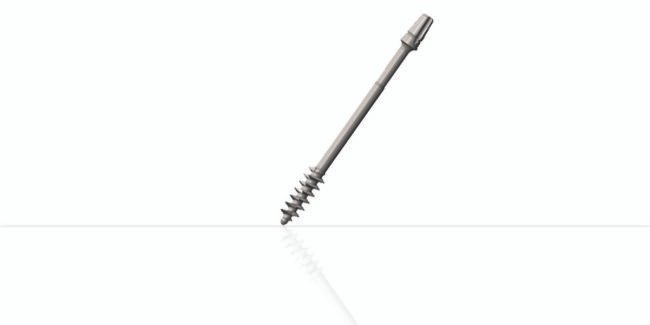 Zygomatic Implants Zygomatic Implants